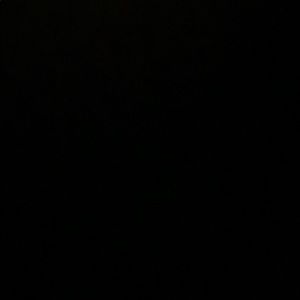 Meet your Posher, Leo